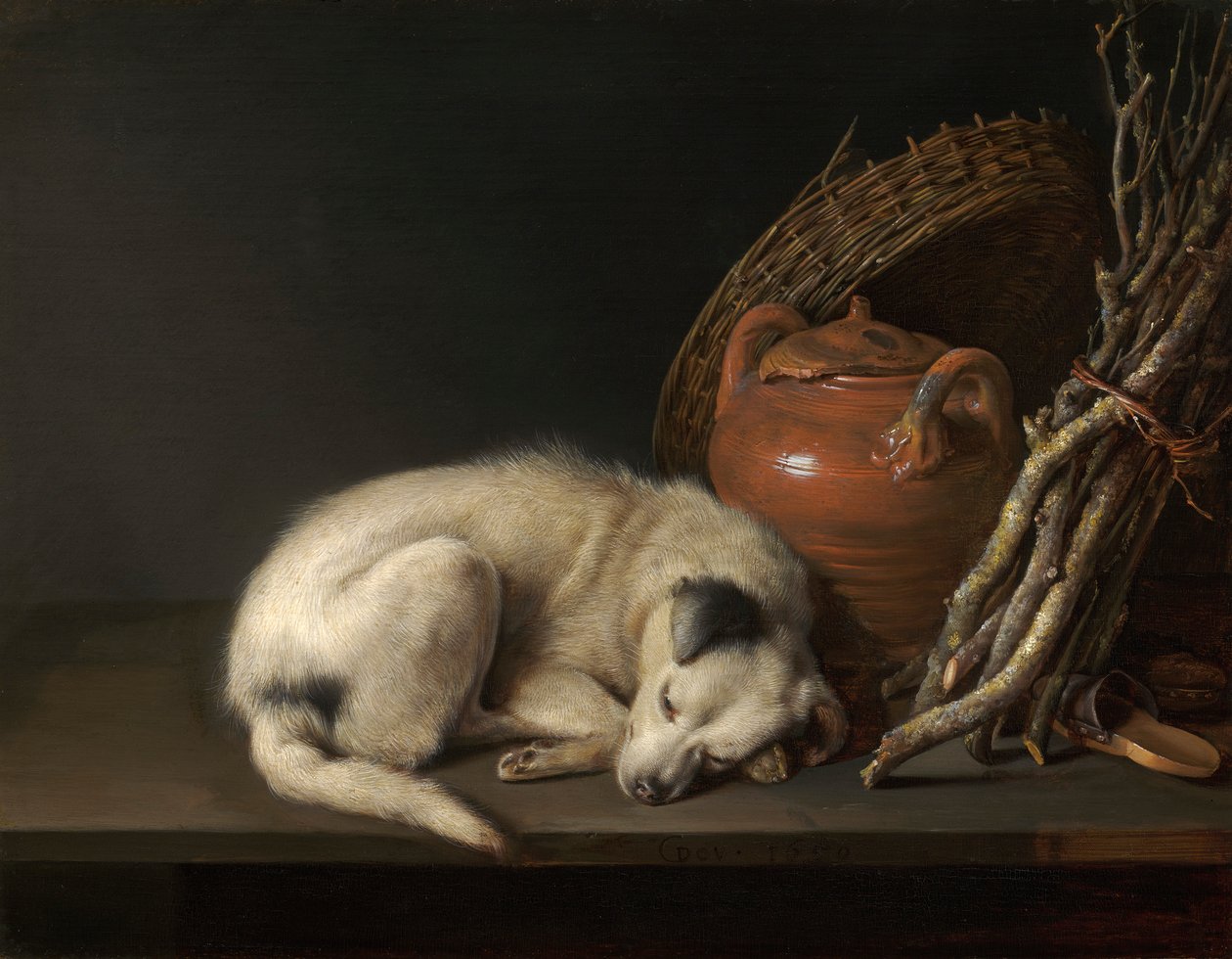 Spící pes od Gerrit Dou