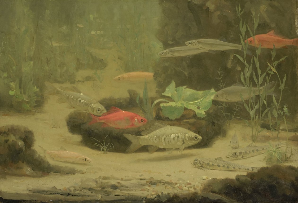 Zlatá a stříbrná rybka v akváriu od Gerrit Willem Dijsselhof