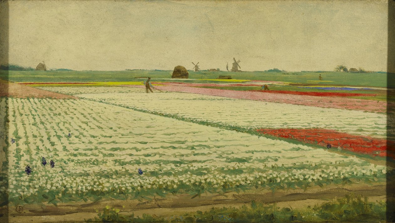 Tulipánová pole od Gerrit Willem Dijsselhof