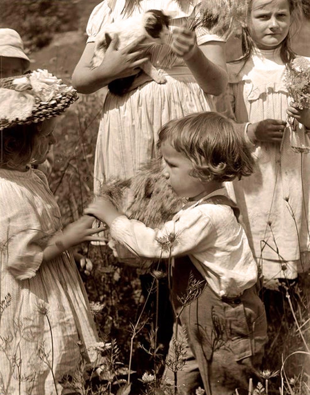 Šťastné dny 1902 Gertrude Kasebier (1852-1934). od Gertrude Käsebier