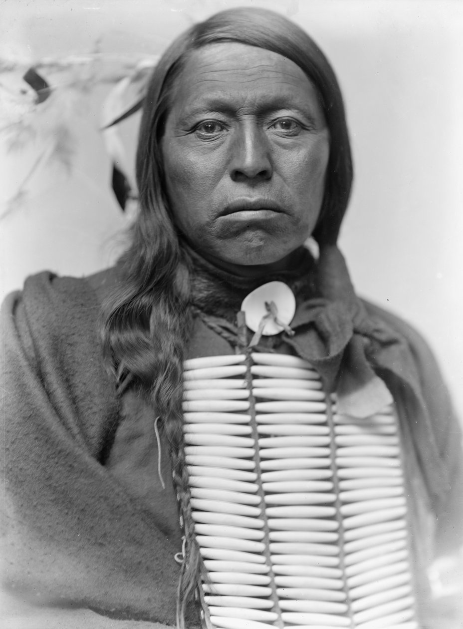 Náčelník Siouxů Flying Hawk, kolem roku 1900 od Gertrude Käsebier
