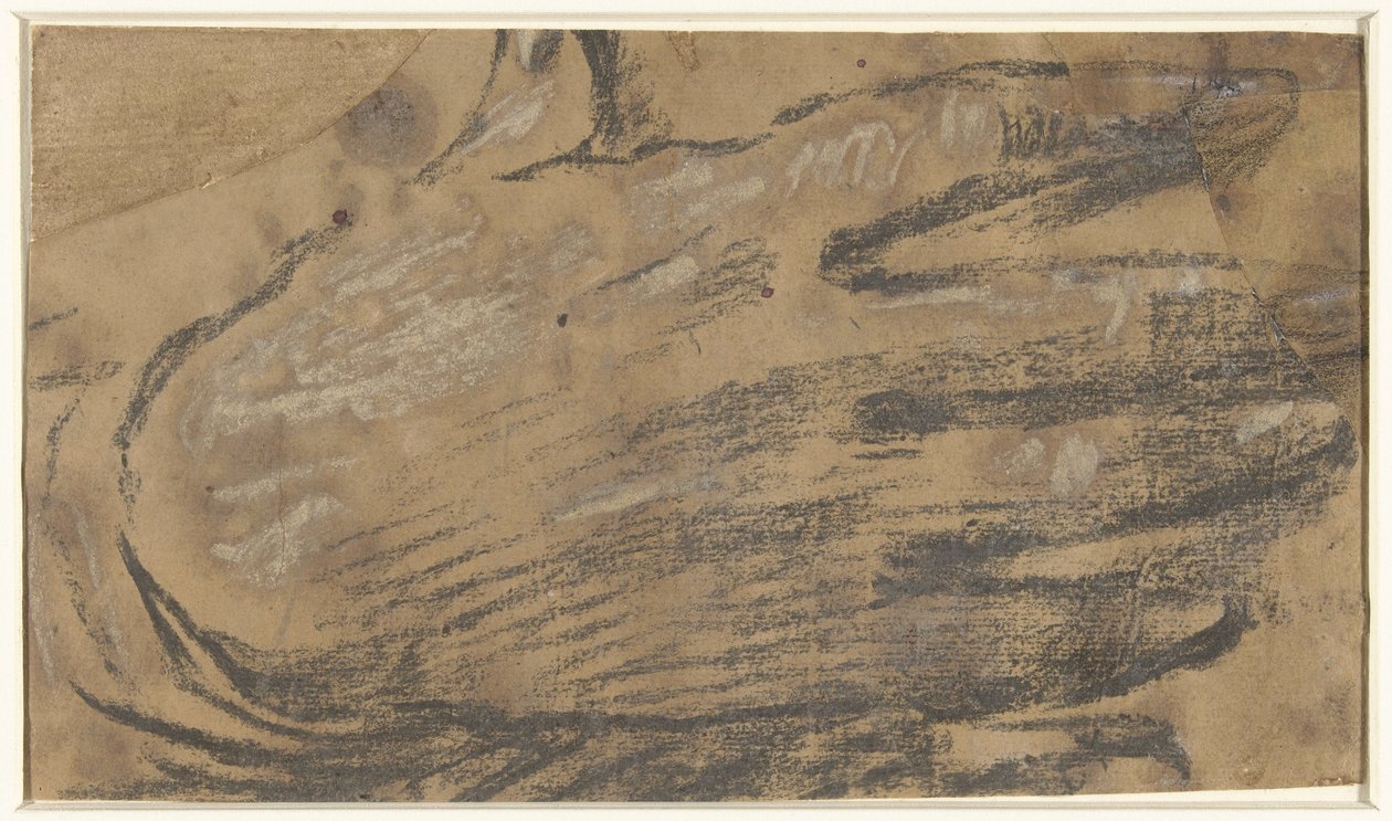 Ruka od Giacomo Cavedone