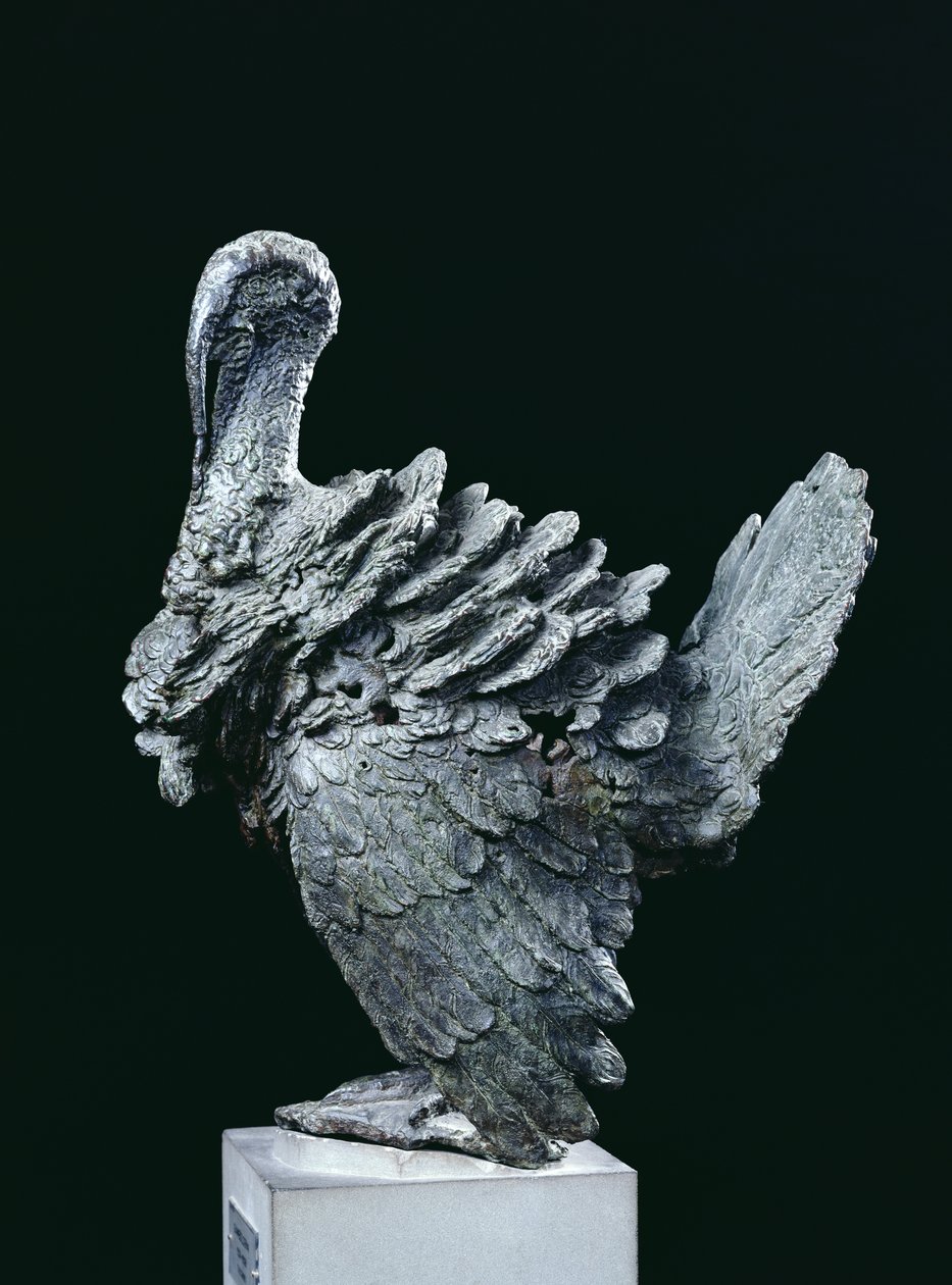 Turecko (bronz) od Giambologna