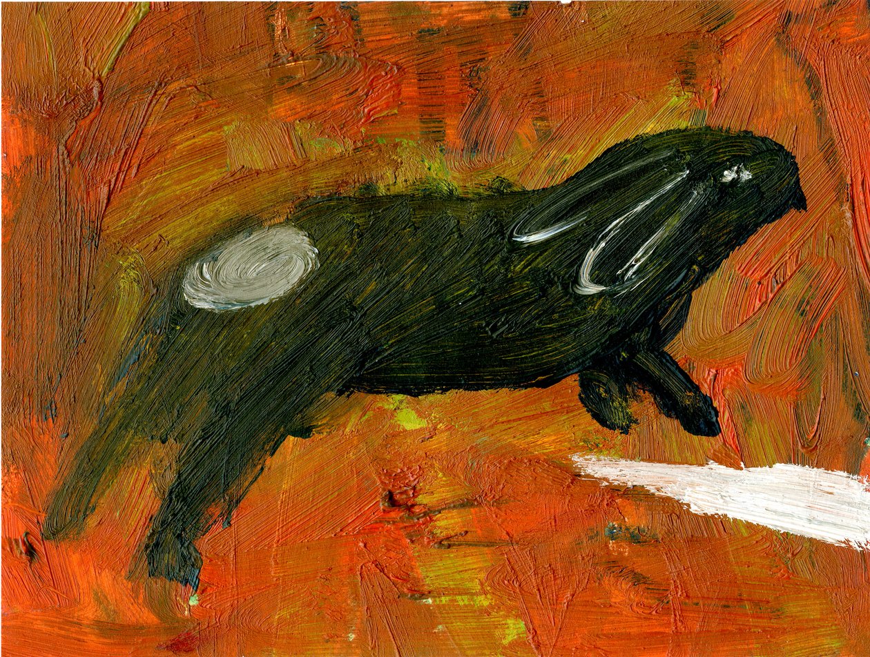 Králík, 2005, (olej na papíře) od Gigi Sudbury