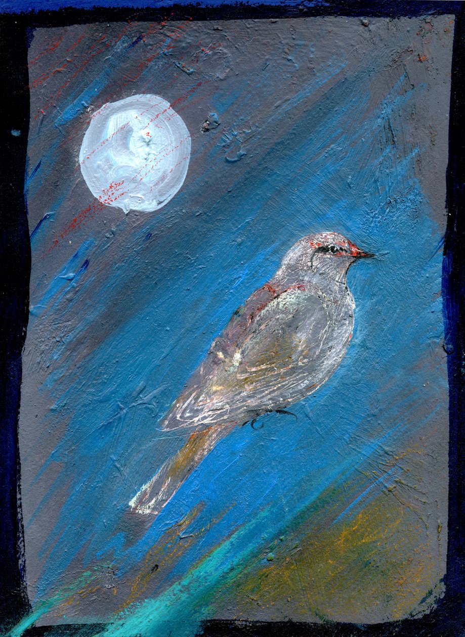 Moon Bird, 2016, (olej na papíře) od Gigi Sudbury