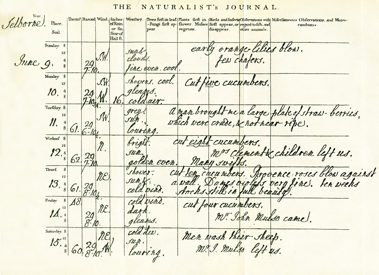 Poslední dokončená stránka Gilbert Whites Naturalists Journal, 9.–15. června 1793 od Gilbert White