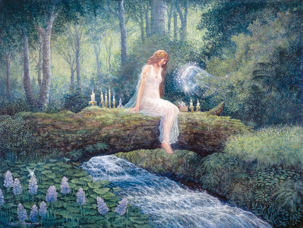 Spřízněné duše od Gilbert Williams