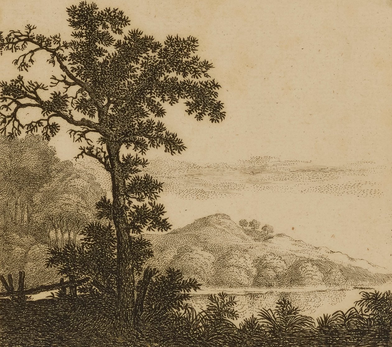 Krajina od Gillis Neyts