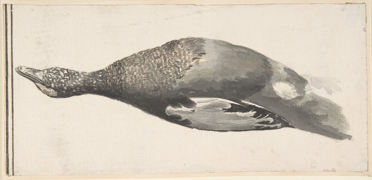 Mrtvá kachna, 1685-1755. od Giorgio Durante