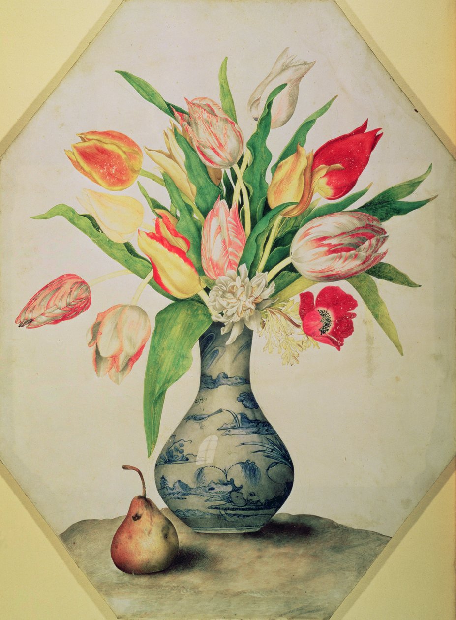 Modrá čínská váza s tulipány (tempera na pergamenu) od Giovanna Garzoni