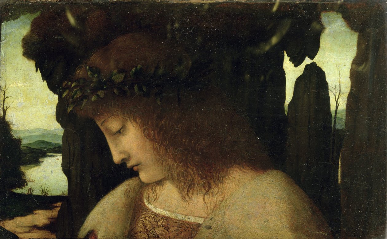 Narcis u fontány od Giovanni Antonio Boltraffio