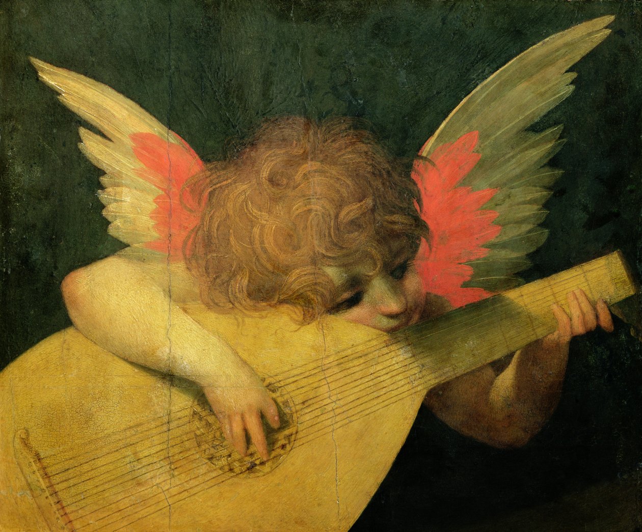 Angel Musician, cca 1520 (tempera na panelu) od Giovanni Battista Rosso Fiorentino