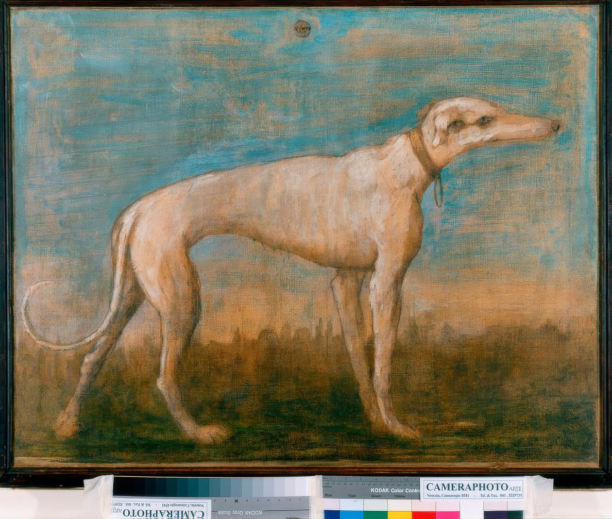 Chrt od Giovanni Battista Tiepolo