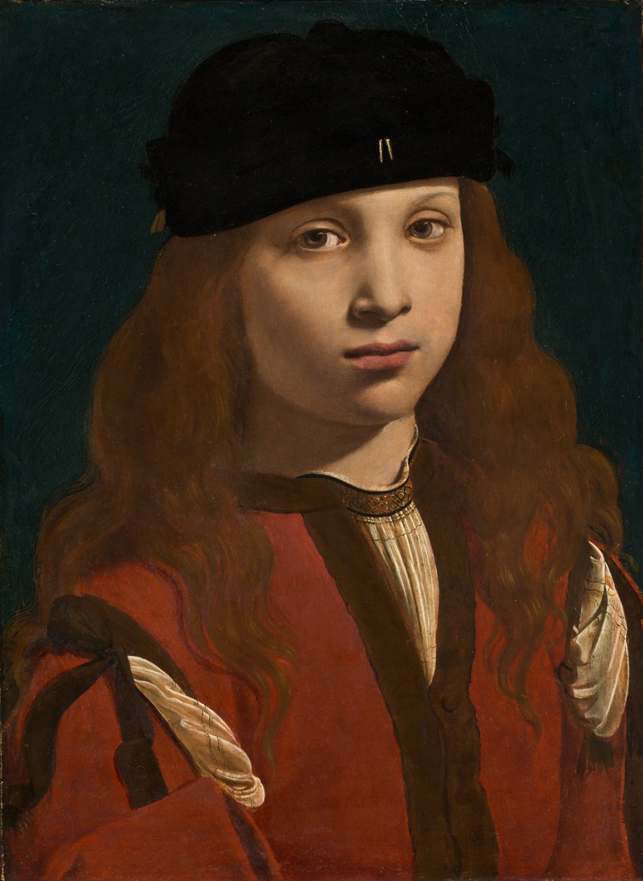 Portrét mládí od Giovanni Antonio Boltraffio