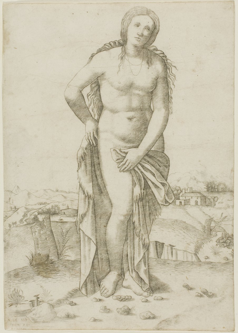 Venuše od Giovanni Antonio da Brescia