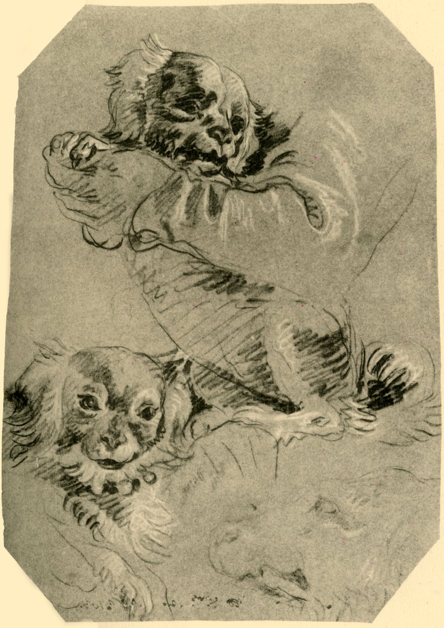 Boloňští psi, 1751-1752, 1928 od Giovanni Battista Tiepolo