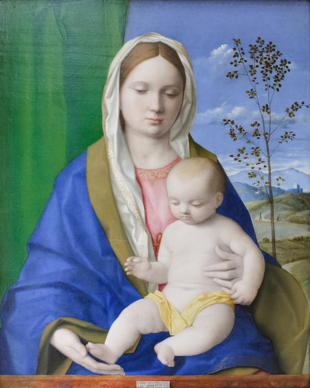 Madona s dítětem, kolem roku 1500 (olej na desce) od Giovanni Bellini