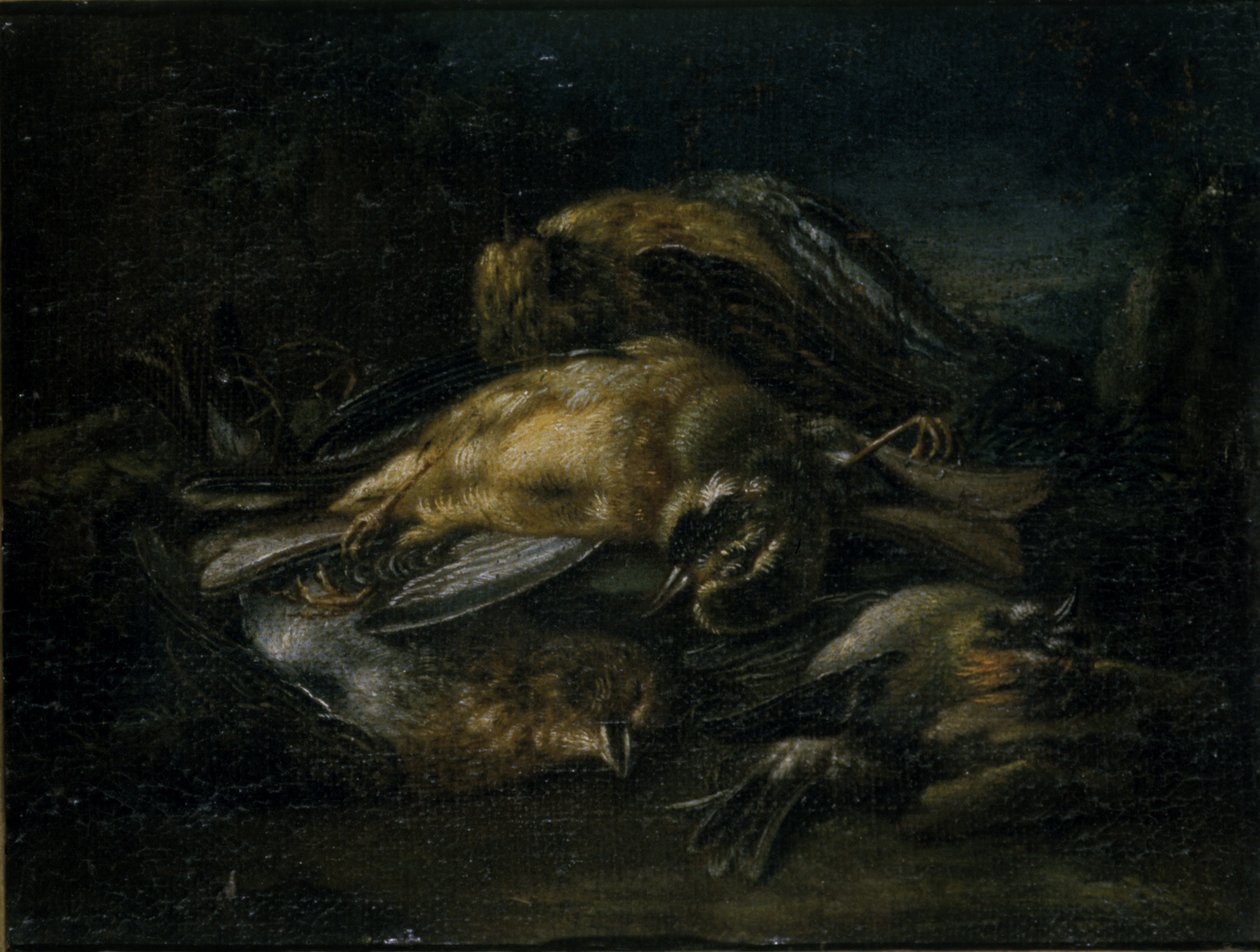 Mrtvý pták, 1664 od Giovanni Benedetto Castiglione