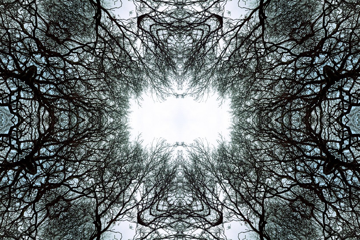 Unnatural 101 (digitálně upravená fotografie) od Giovanni Cafagna