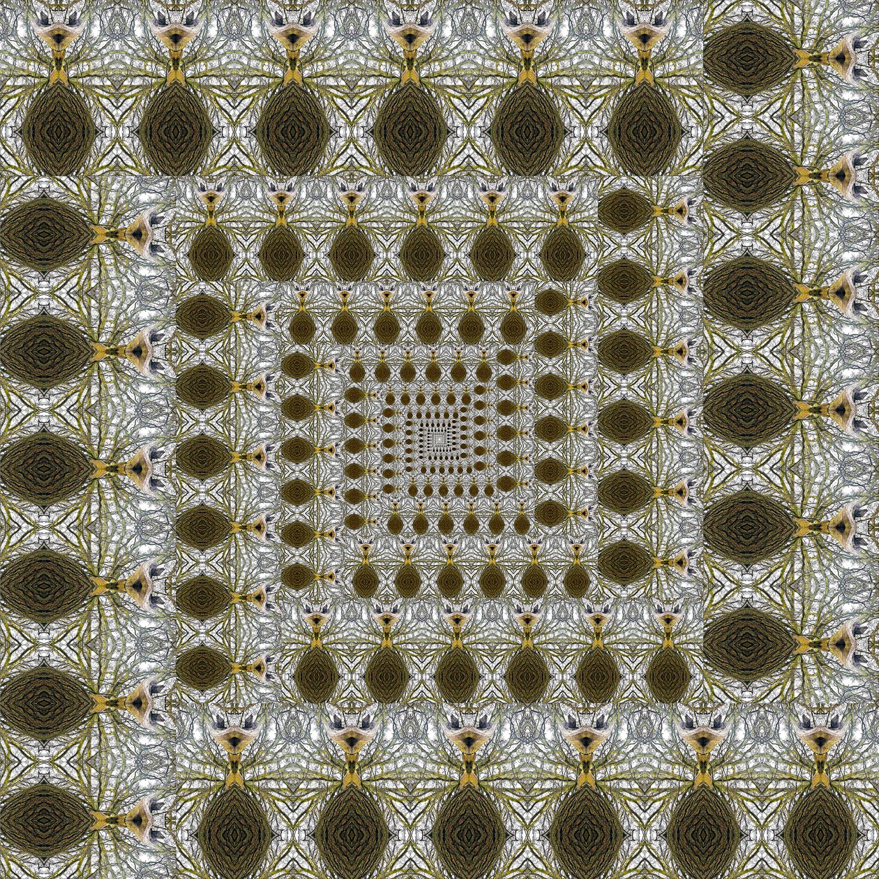 Unnatural 105 (digitálně upravená fotografie) od Giovanni Cafagna