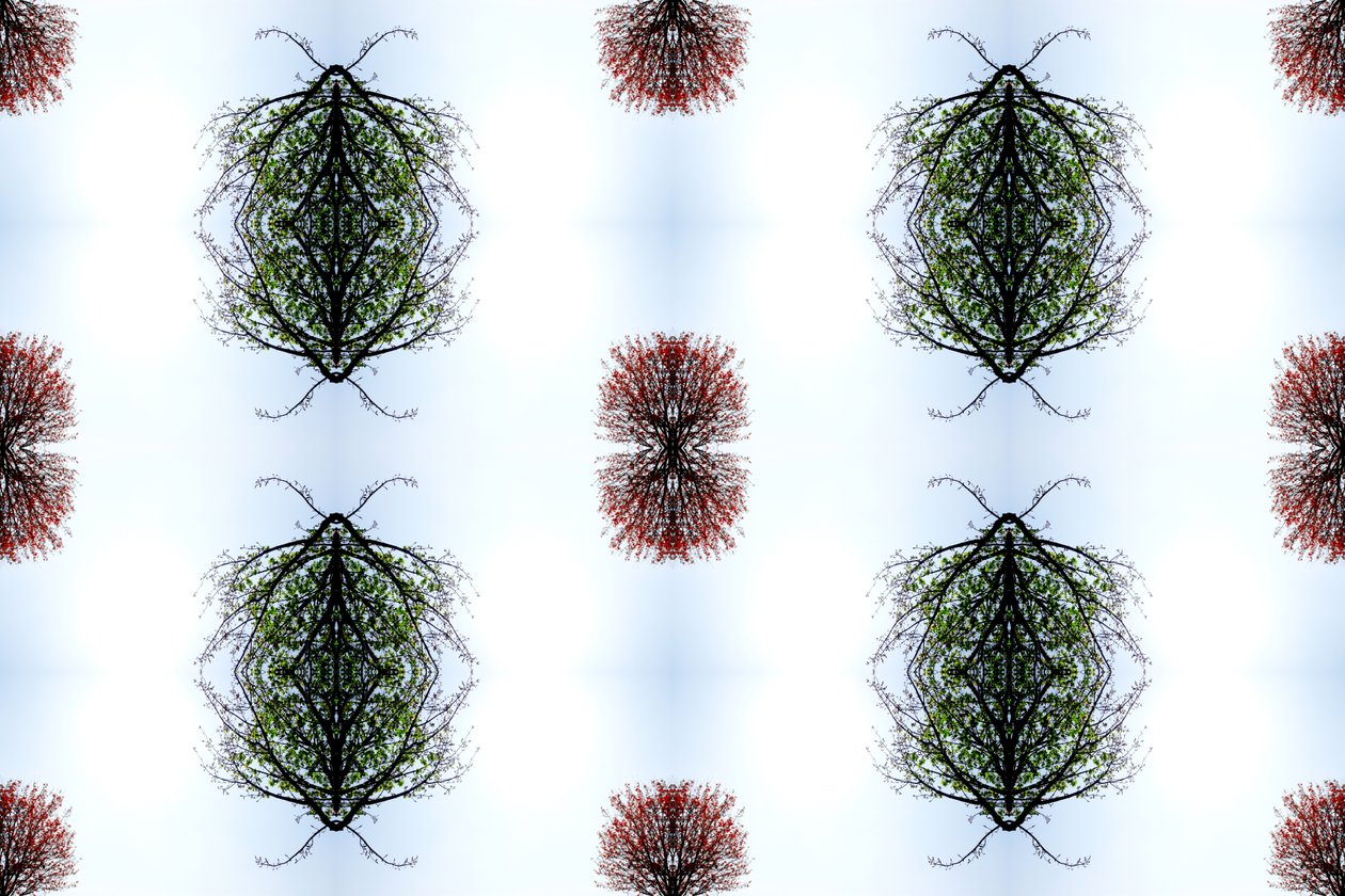Unnatural 110 (digitálně upravená fotografie) od Giovanni Cafagna