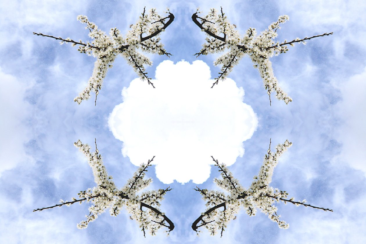 Unnatural 115 (digitálně upravená fotografie) od Giovanni Cafagna