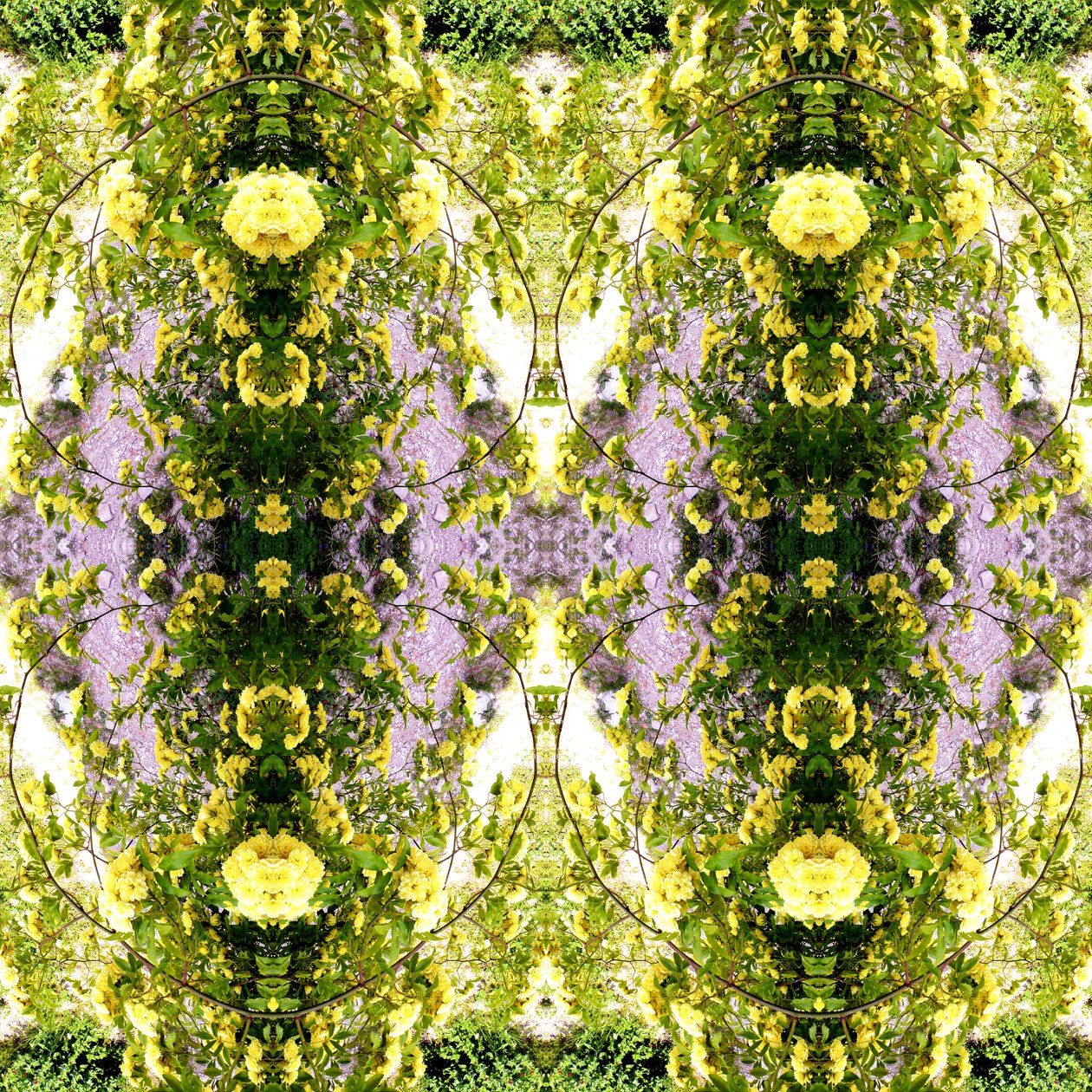 Unnatural 150 (digitálně upravená fotografie) od Giovanni Cafagna