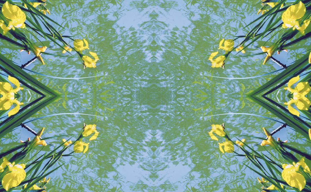 Unnatural 17 (digitálně upravená fotografie) od Giovanni Cafagna