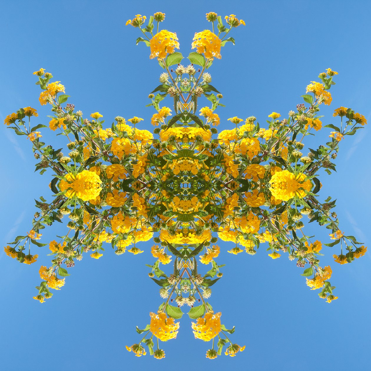 Unnatural 193 (digitálně upravená fotografie) od Giovanni Cafagna