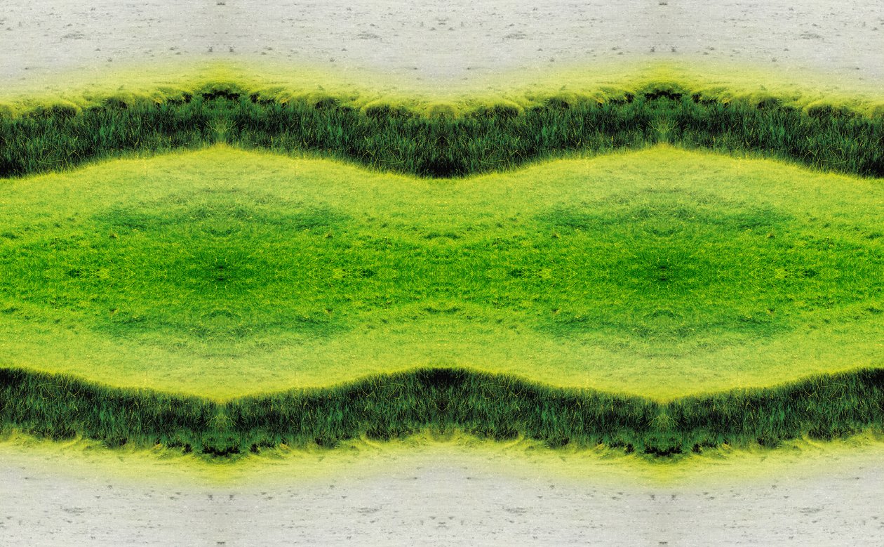 Nepřirozené 2.1 (digitálně upravená fotografie) od Giovanni Cafagna