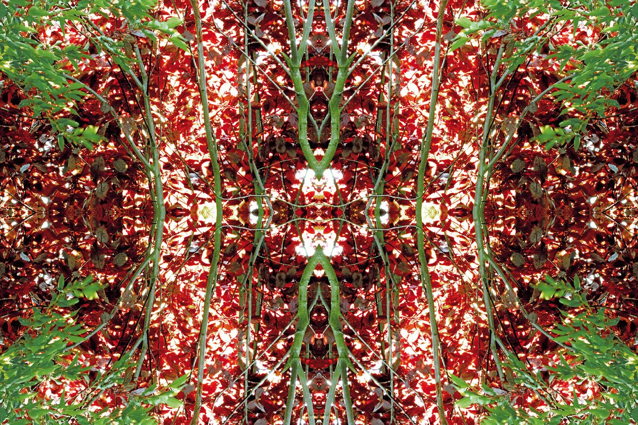 Unnatural 23 (digitálně upravená fotografie) od Giovanni Cafagna
