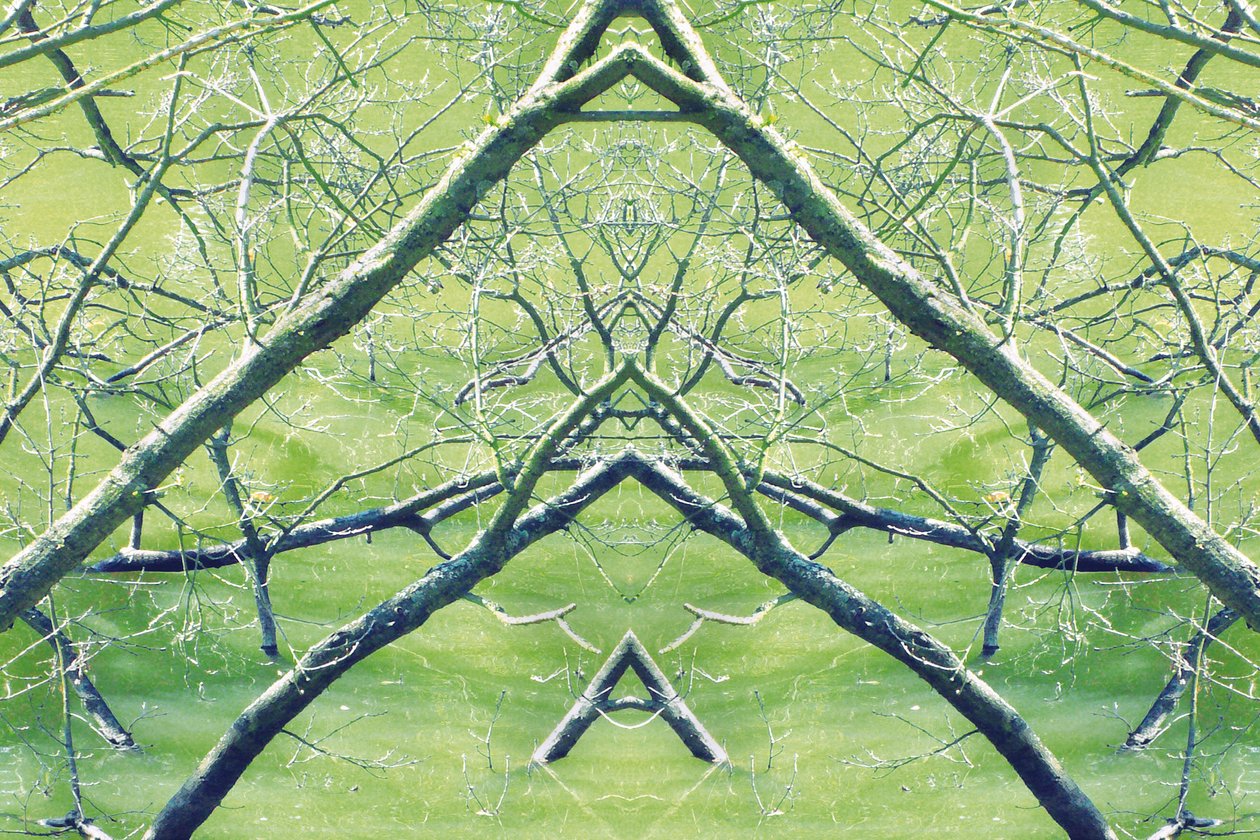 Unnatural 30 (digitálně upravená fotografie) od Giovanni Cafagna