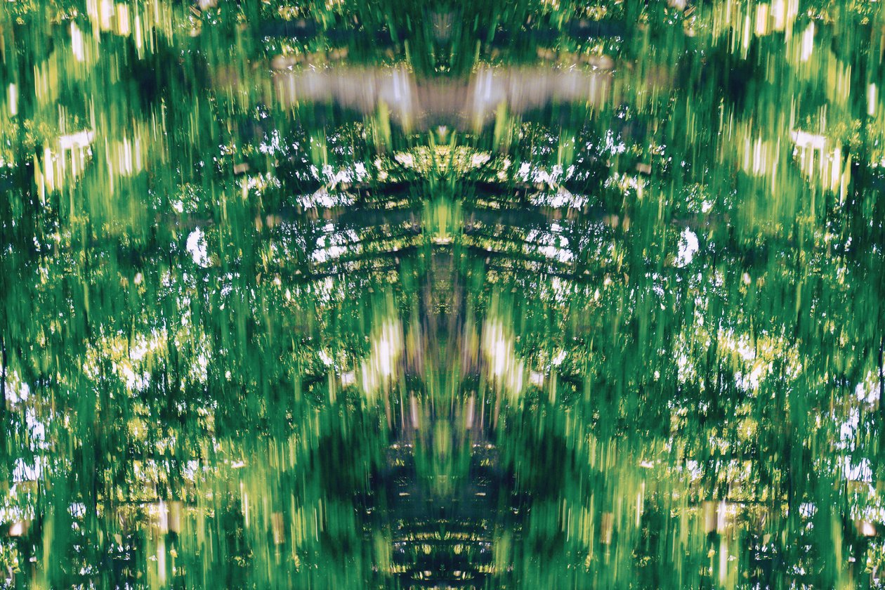 Unnatural 31 (digitálně upravená fotografie) od Giovanni Cafagna