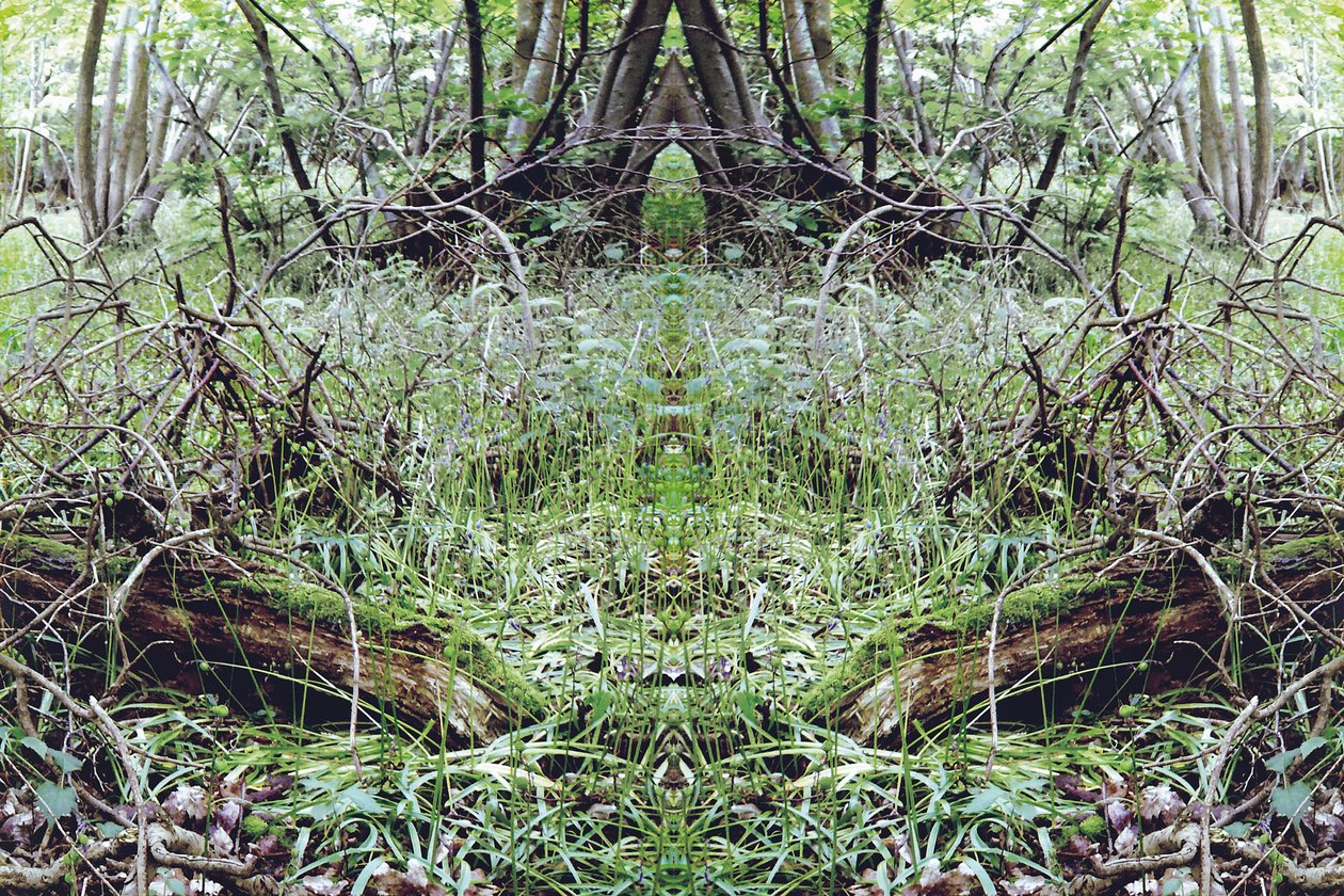 Unnatural 33 (digitálně upravená fotografie) od Giovanni Cafagna