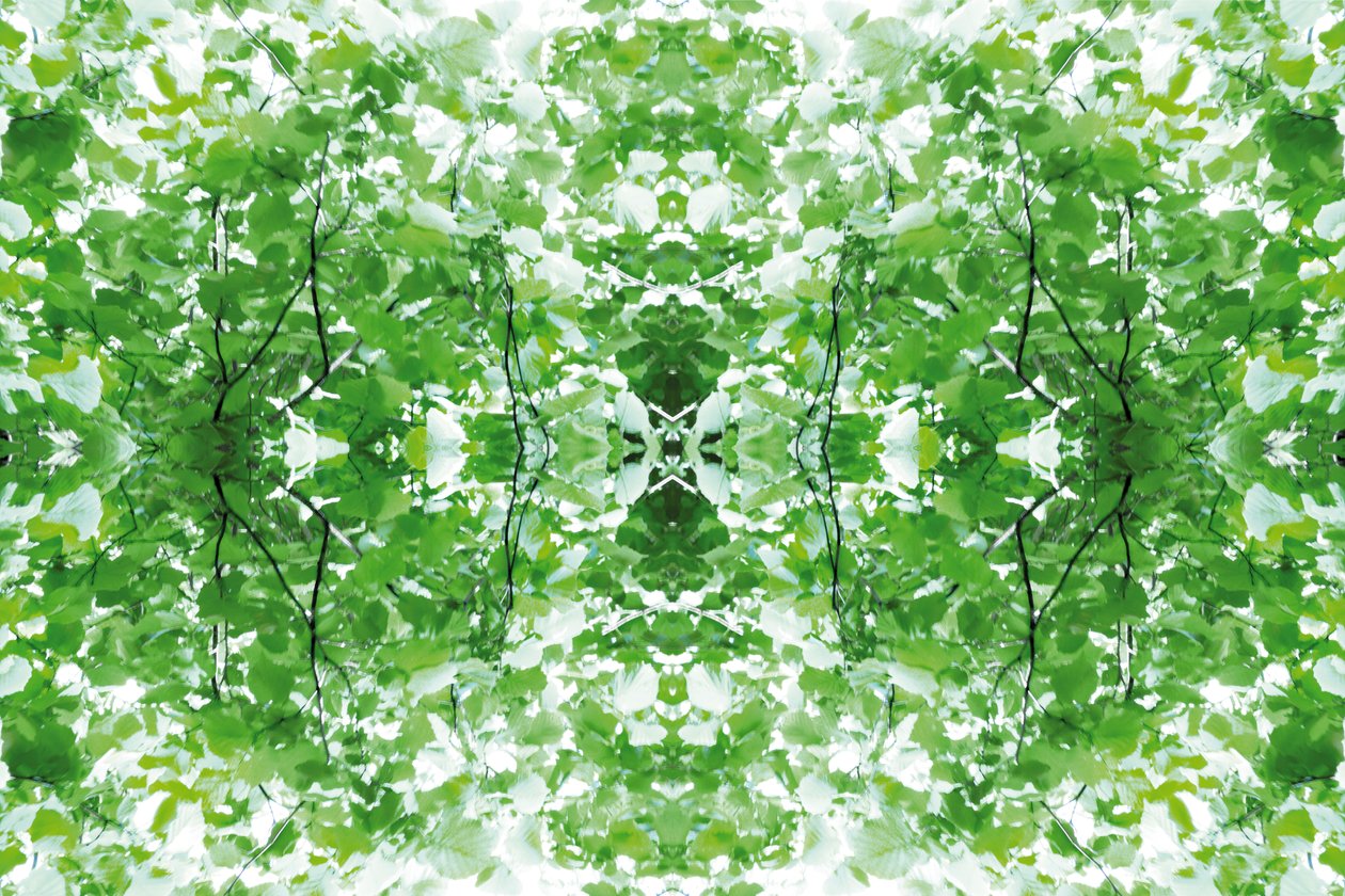 Unnatural 34 (digitálně upravená fotografie) od Giovanni Cafagna