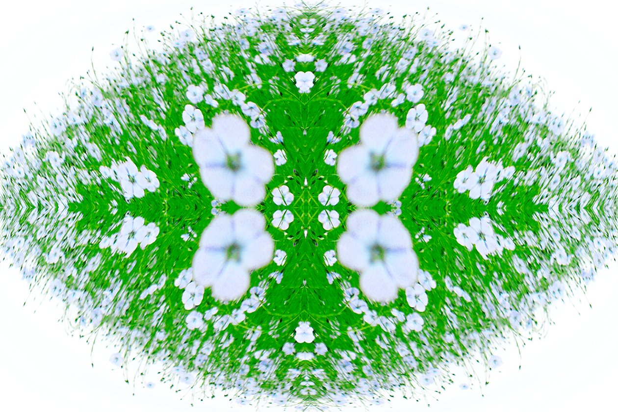 Unnatural 37 (digitálně upravená fotografie) od Giovanni Cafagna