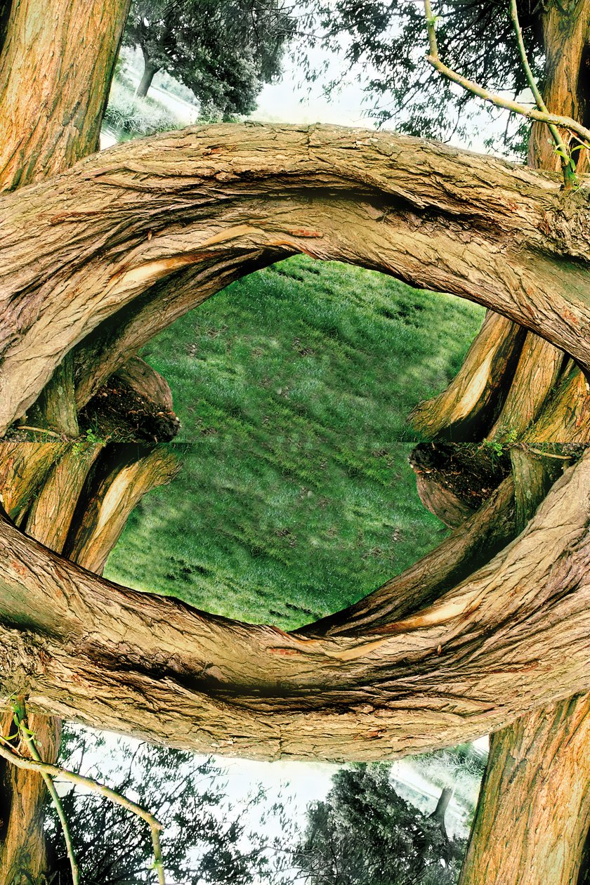 Unnatural 37 (digitálně upravená fotografie) od Giovanni Cafagna