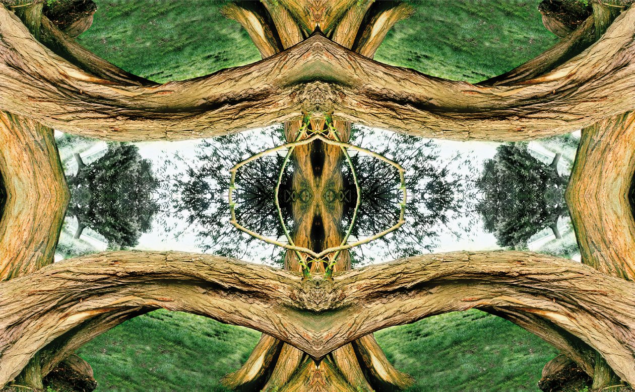 Unnatural 37 (digitálně upravená fotografie) od Giovanni Cafagna