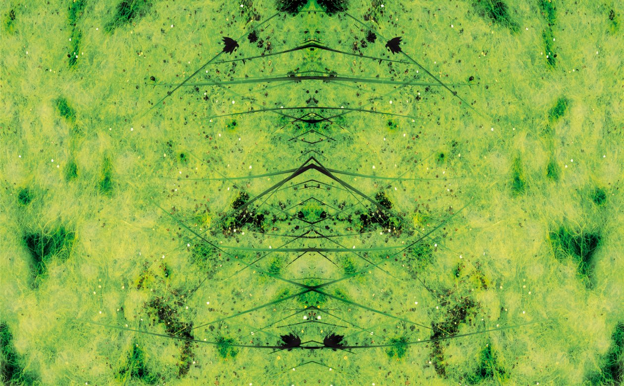 Unnatural 3 (digitálně upravená fotografie) od Giovanni Cafagna