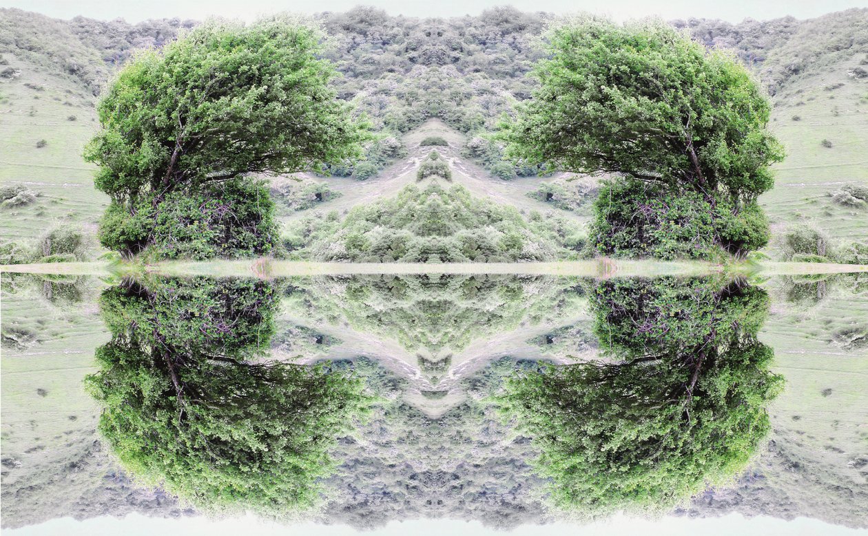 Unnatural 40 (digitálně upravená fotografie) od Giovanni Cafagna