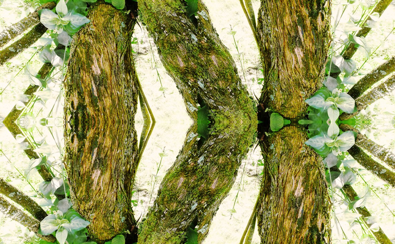 Unnatural 45 (digitálně upravená fotografie) od Giovanni Cafagna
