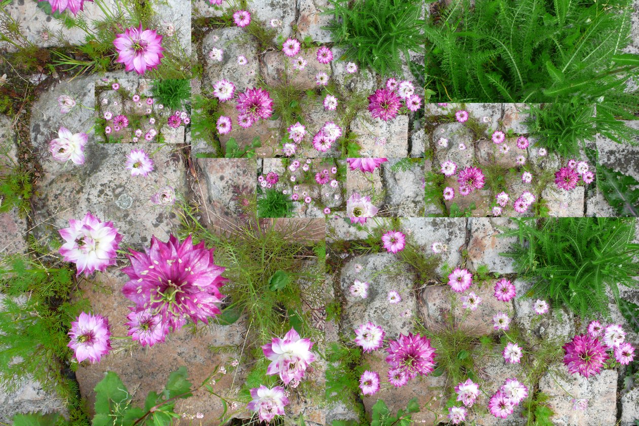 Unnatural 60 (digitálně upravená fotografie) od Giovanni Cafagna