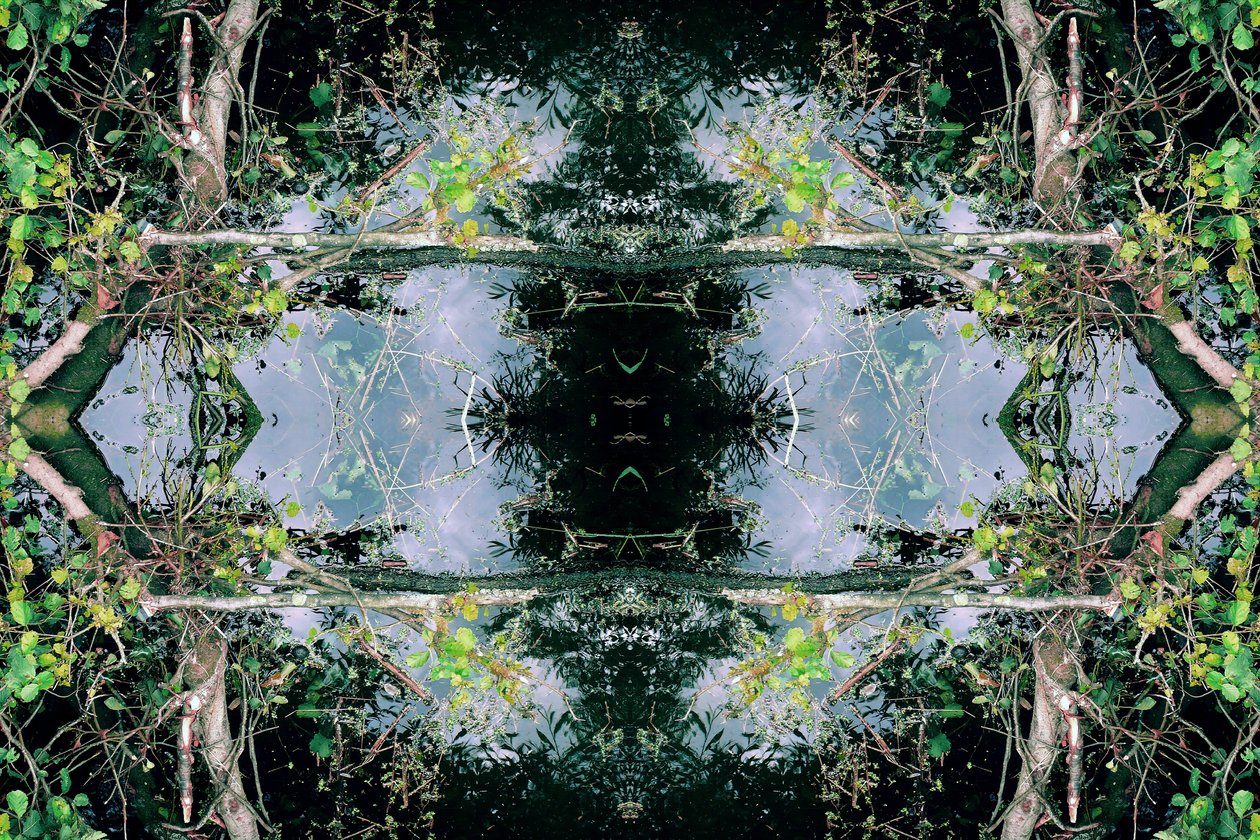 Unnatural 73 (digitálně upravená fotografie) od Giovanni Cafagna
