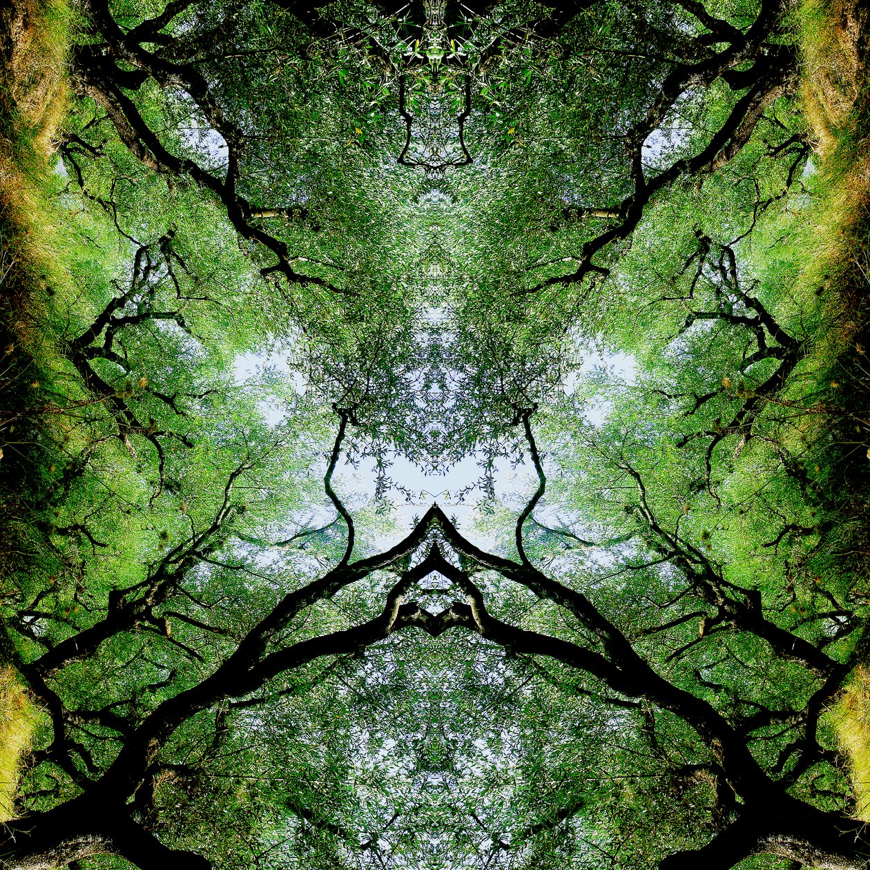 Unnatural 75 (digitálně upravená fotografie) od Giovanni Cafagna