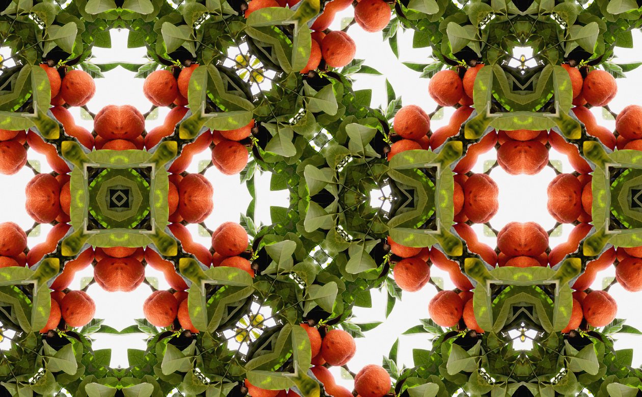 Unnatural 77 (digitálně upravená fotografie) od Giovanni Cafagna