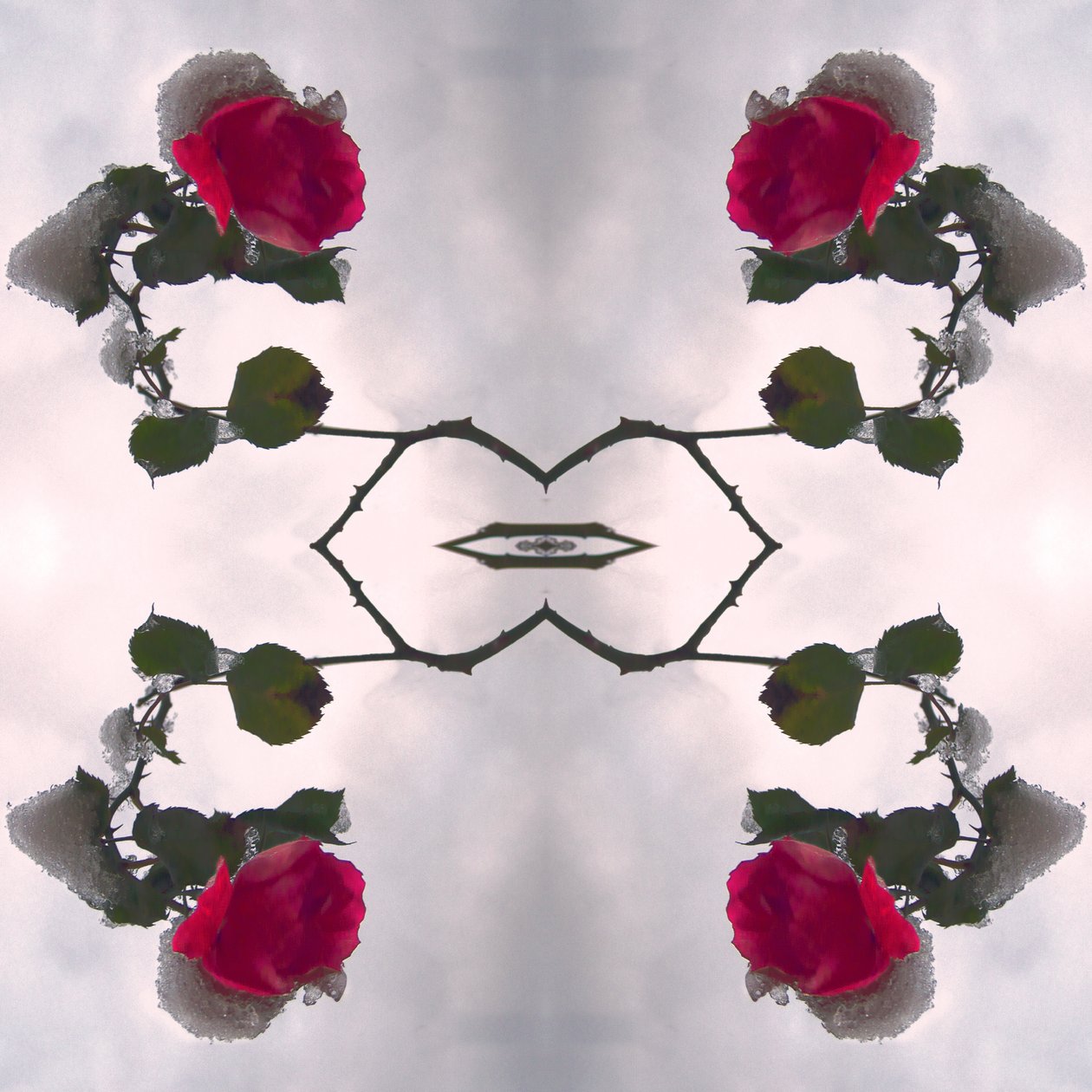 Unnatural 80 (digitálně upravená fotografie) od Giovanni Cafagna