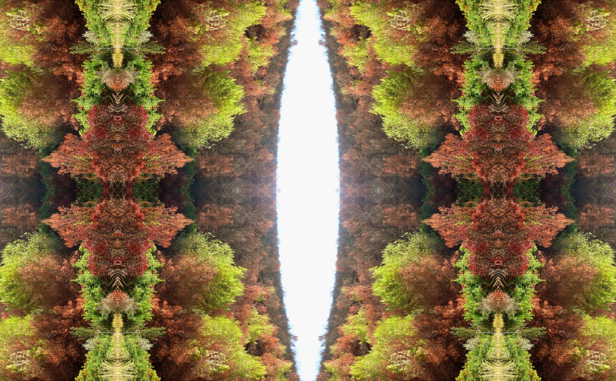Unnatural 81 (digitálně upravená fotografie) od Giovanni Cafagna