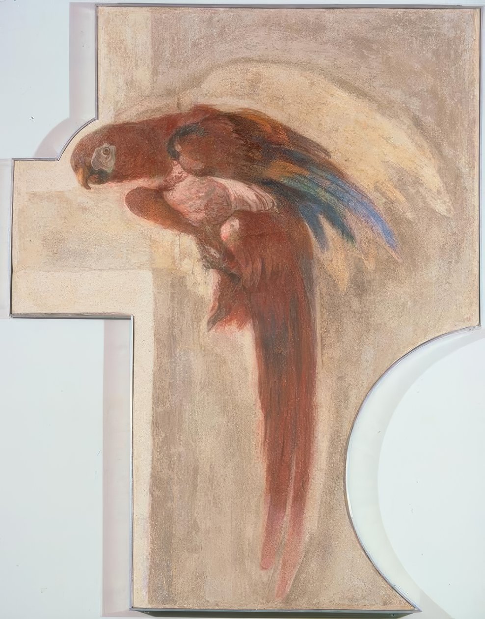 Papoušek od Giovanni Domenico Tiepolo