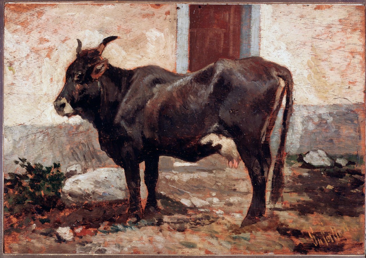 Hnědá kráva - Malba od Giovanni Fattori