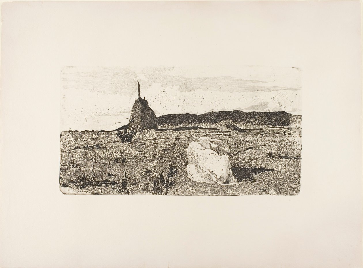 Svatá krávo od Giovanni Fattori